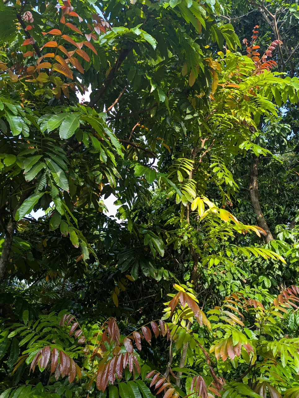 PXL_20250502_084556800.jpg