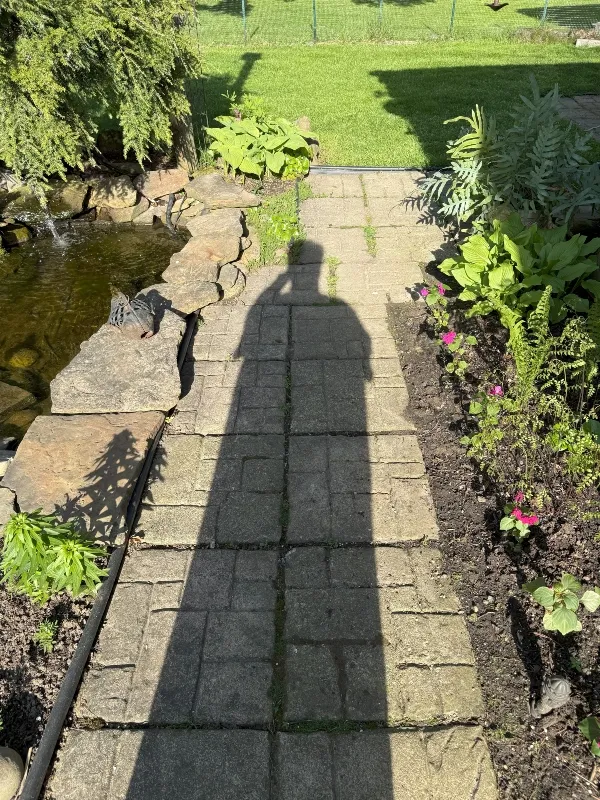 shadowhunters-sunscape.jpg