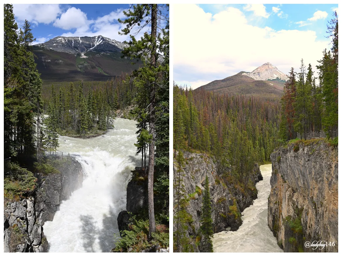 sunwapta falls (9).jpg