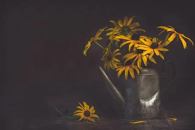 flowers-ga90281fec_640.jpg