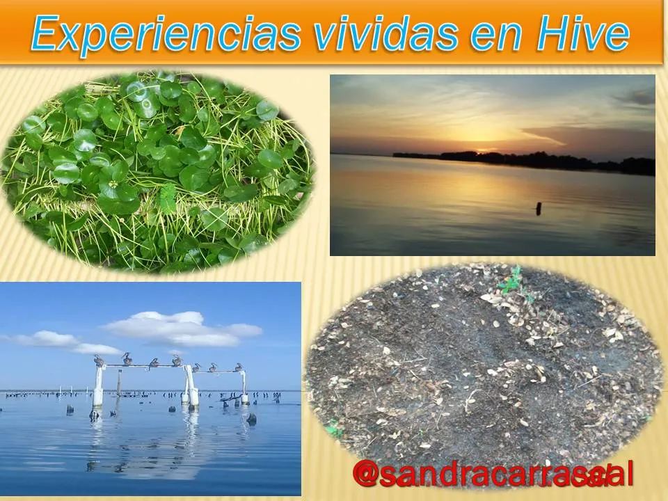 Presentación1 3.jpg