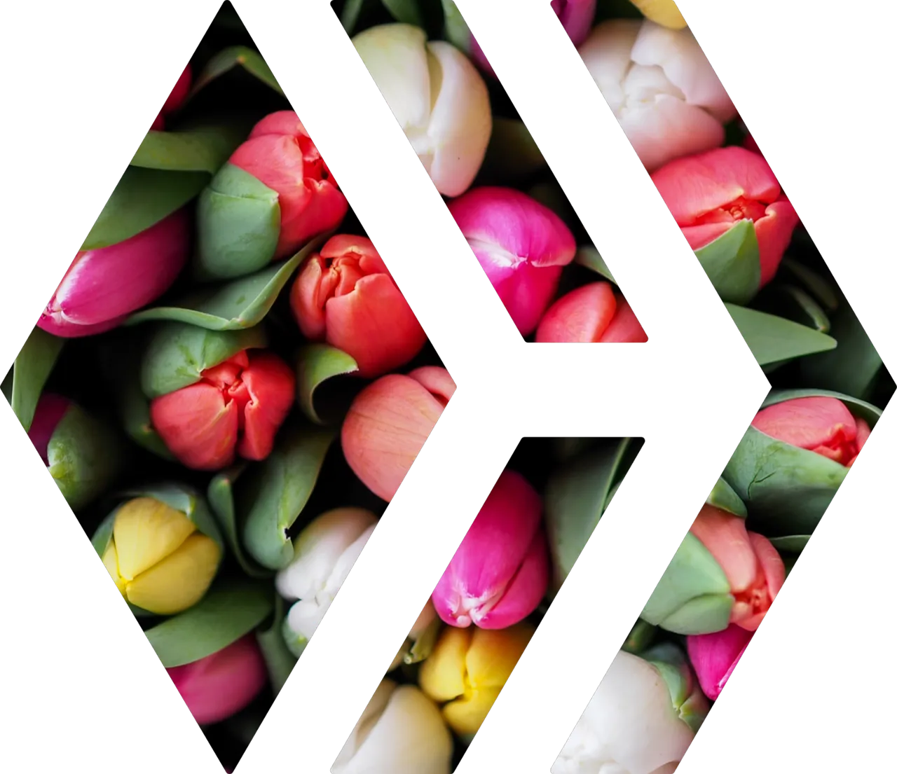 PicsArt_02-12-10.22.51.png