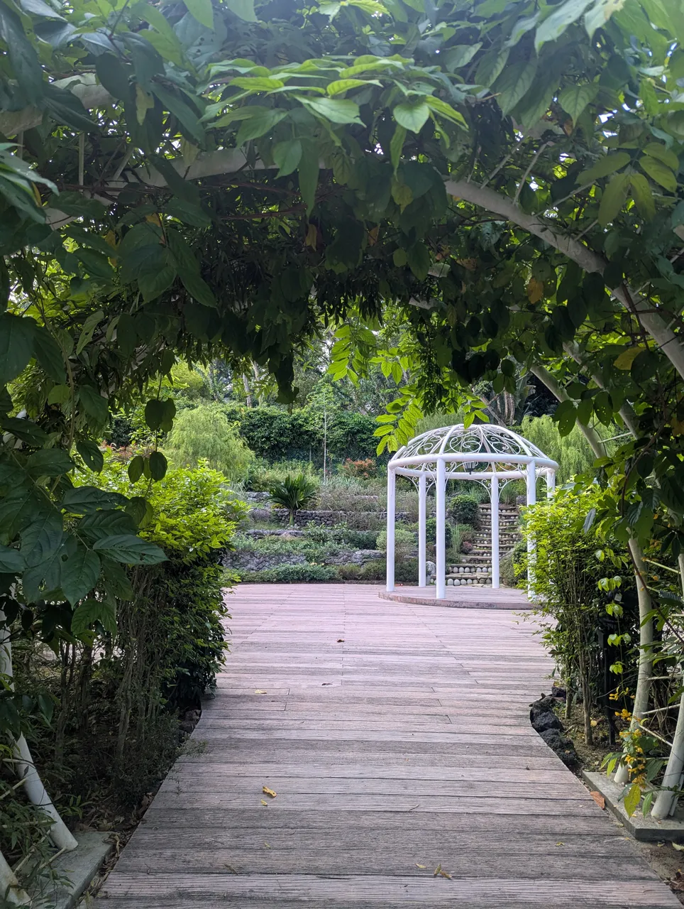 PXL_20250502_091022916.jpg