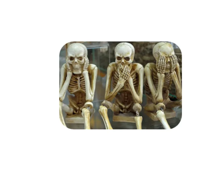 skeletons-1617539_1920.jpg
