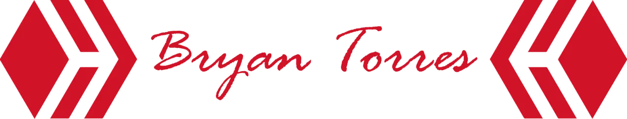 Bryan Torres Firma.png