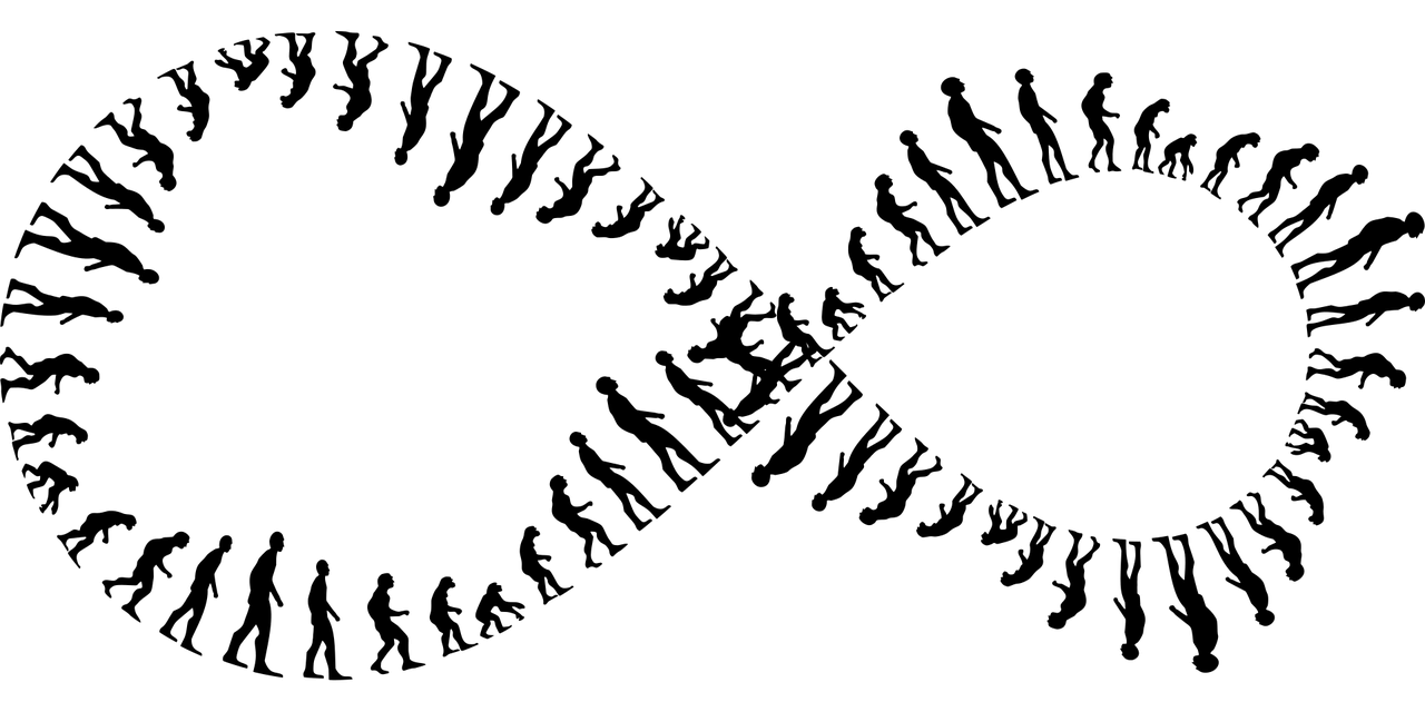 evolution-4911164_1280.png