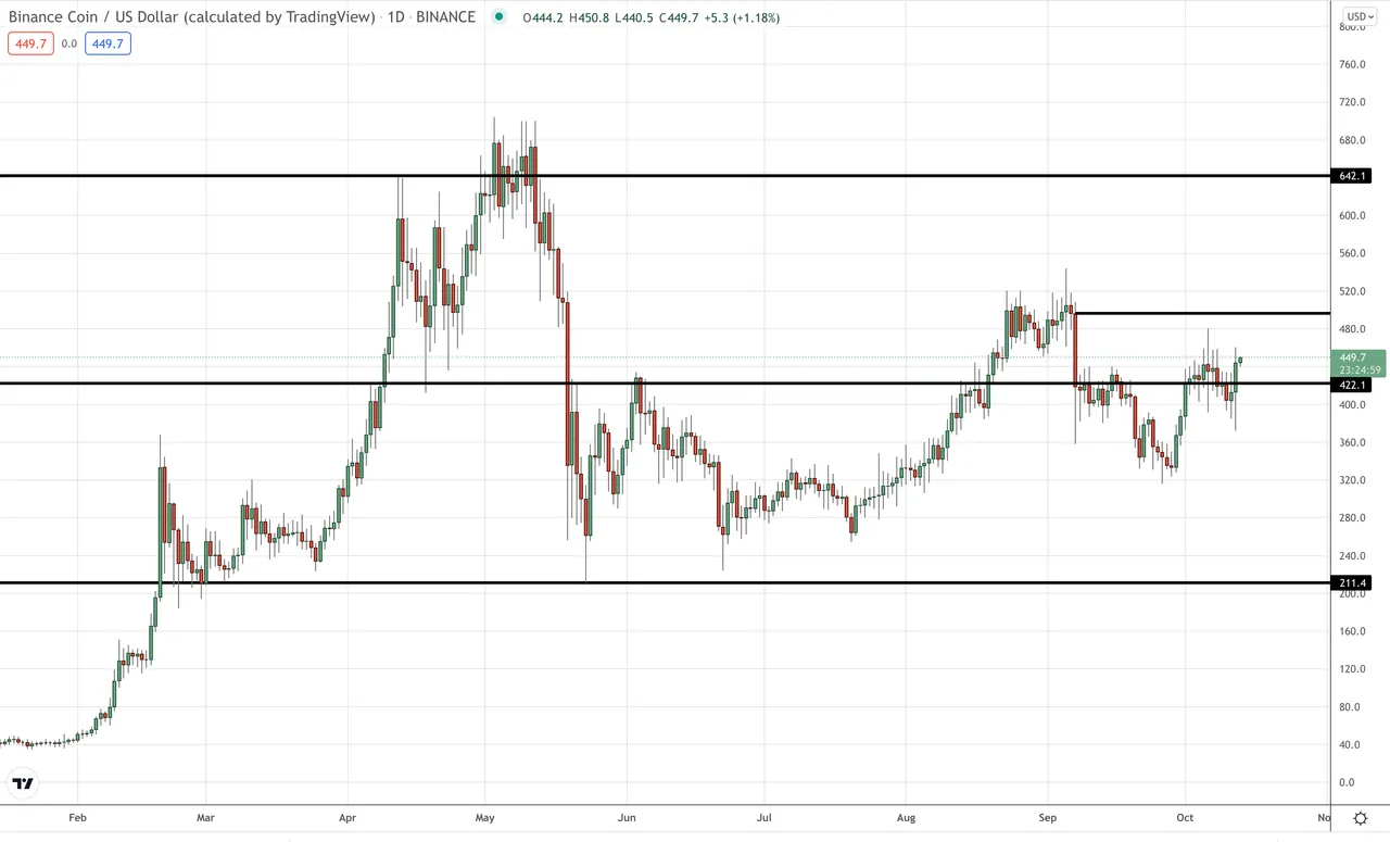 The Binance Coin (BNB) chart showing price ripping on the news.