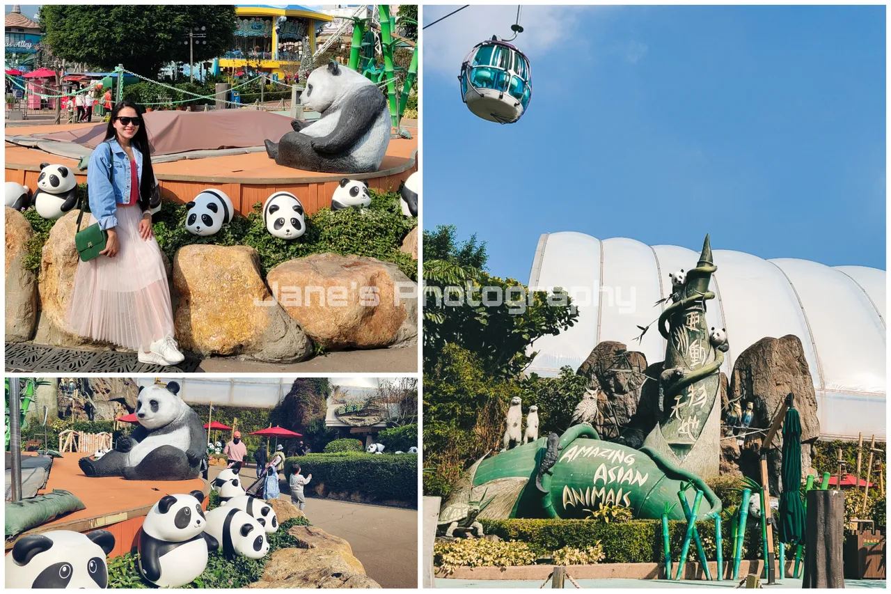 PicsArt_01-04-01.42.14.jpg