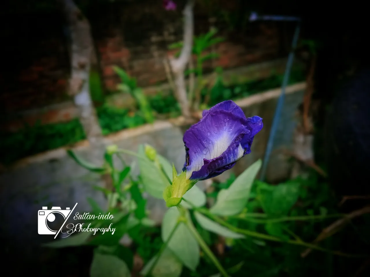 PicsArt_06-18-09.35.09.jpg