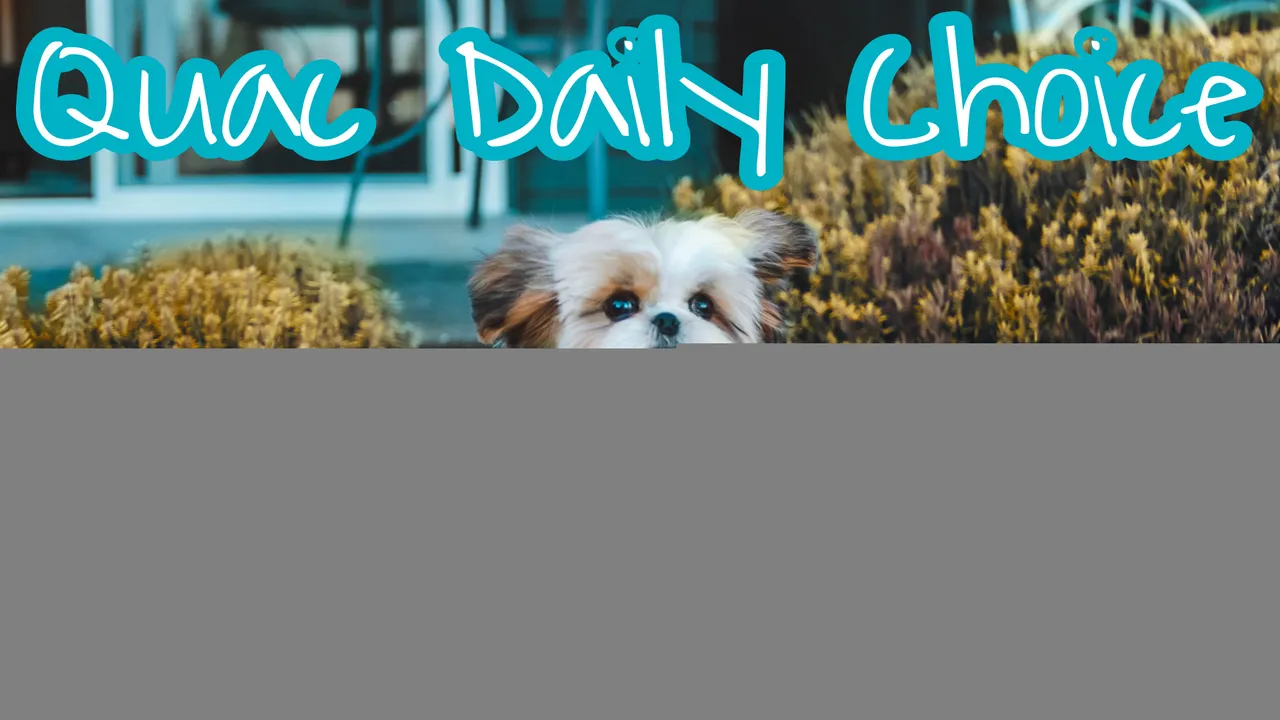 PicsArt_07-21-08.50.02.jpg