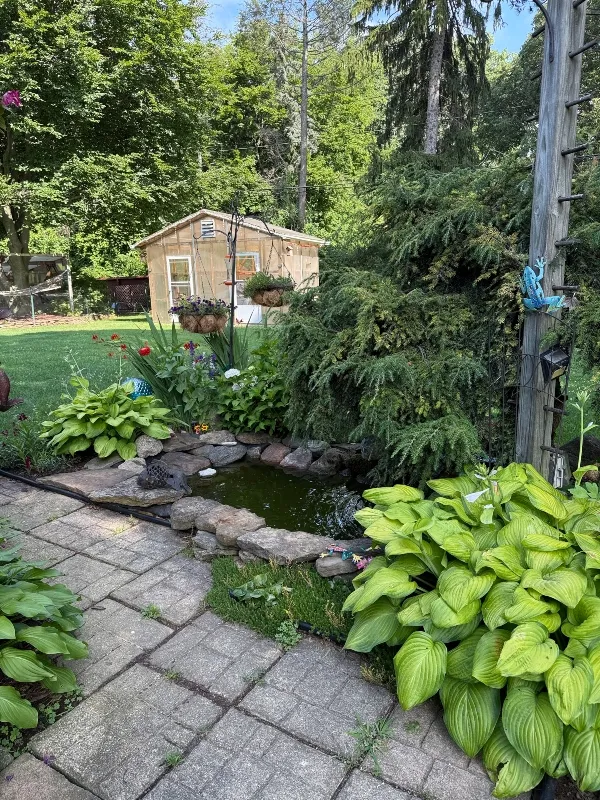 hivegarden-hostas-pond.jpg