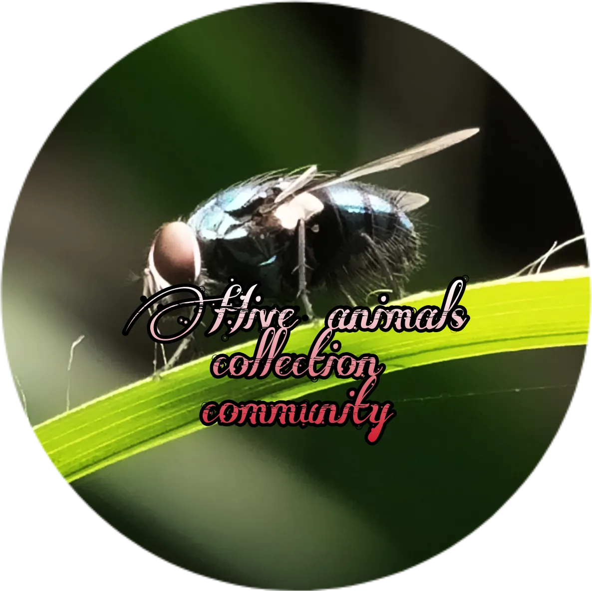 PicsArt_11-18-01.12.23.png