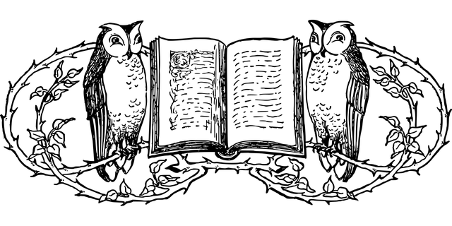 divider-gbe5f4cb4d_640.png
