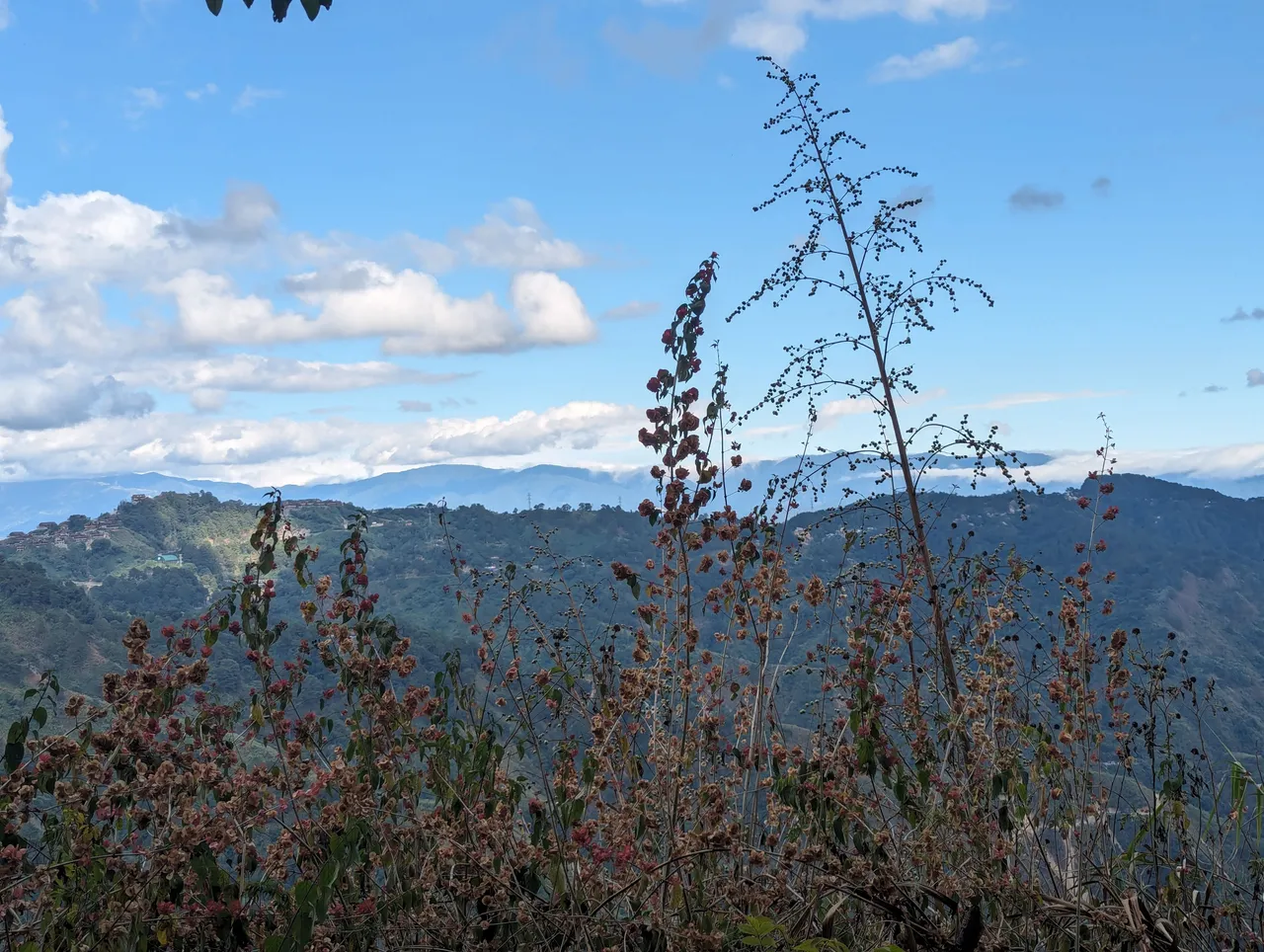 PXL_20240113_062201373.jpg