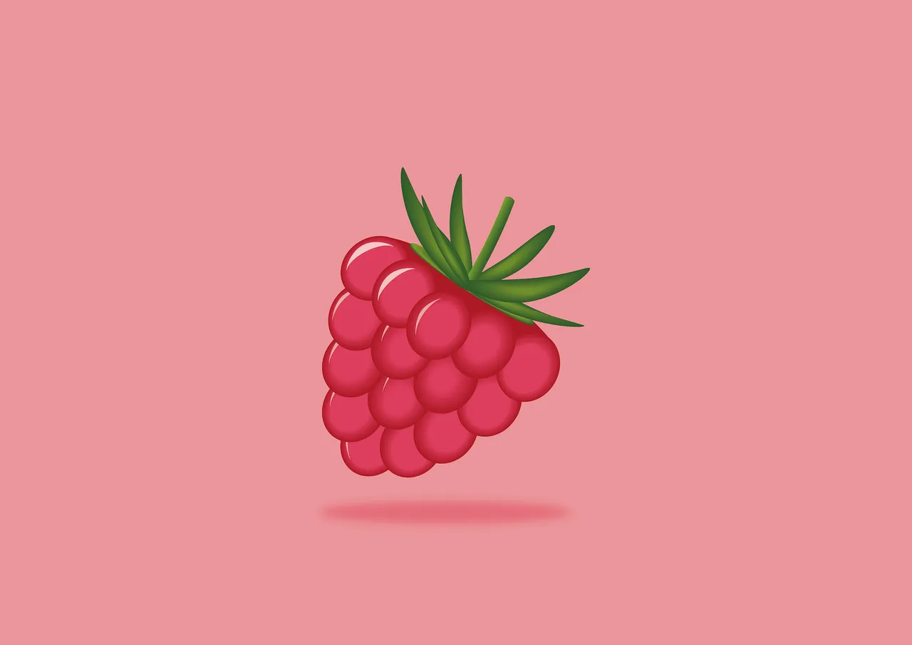 raspberry-6368999_1920.png