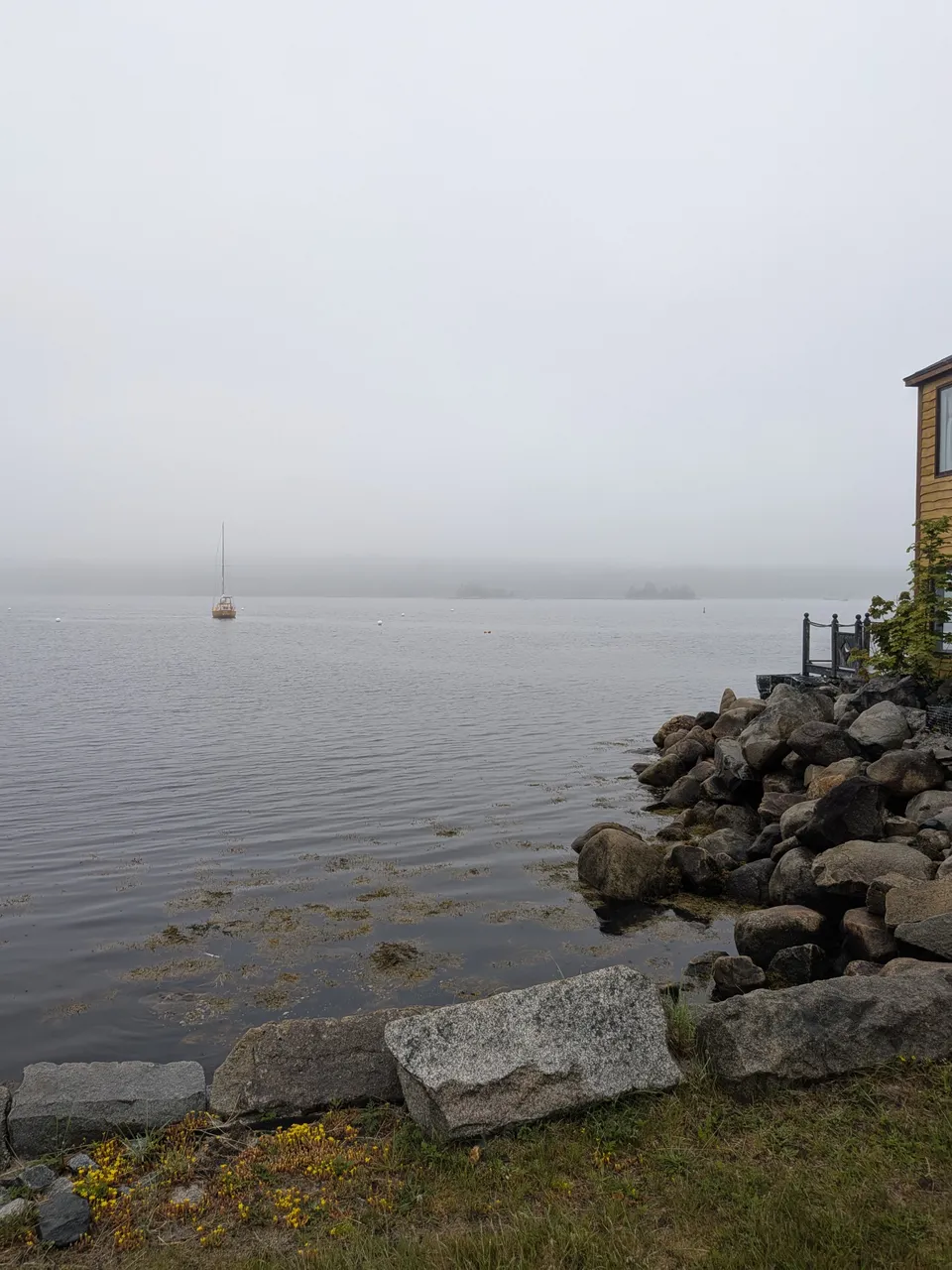foggy-day-in-shelburne.jpg