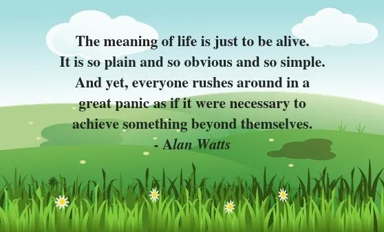 Meaning of life 2.jpg