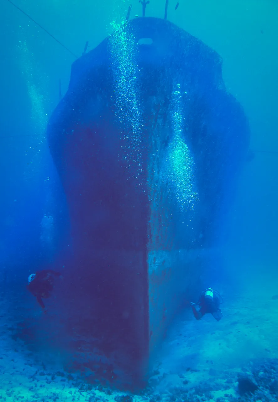 Bow_with_Michael_01-2.jpg