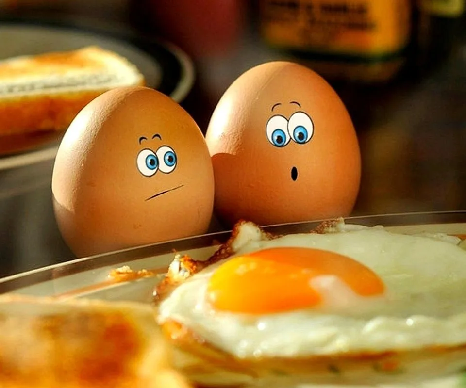 Egg-wallpaper-9645290.jpg