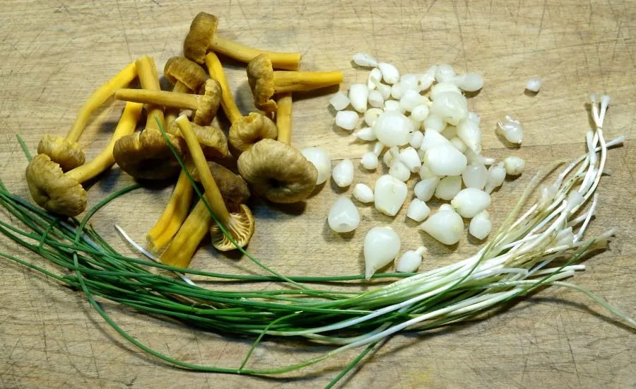 x wild chives 3.jpg