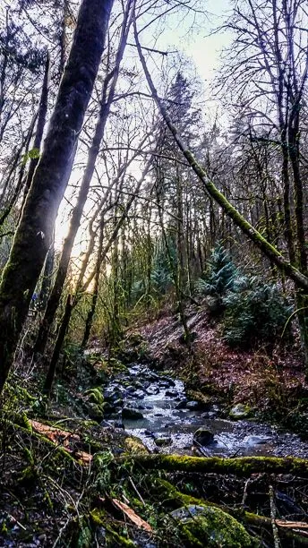 P_20170131_162953_HDR.jpg