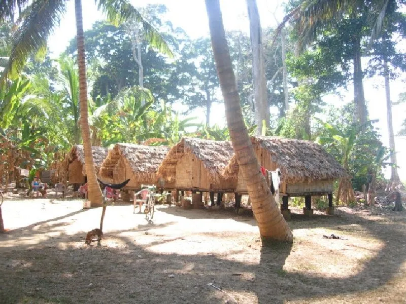 Chicken Coop Huts.jpg
