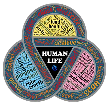 nutshell-2122598__340.png