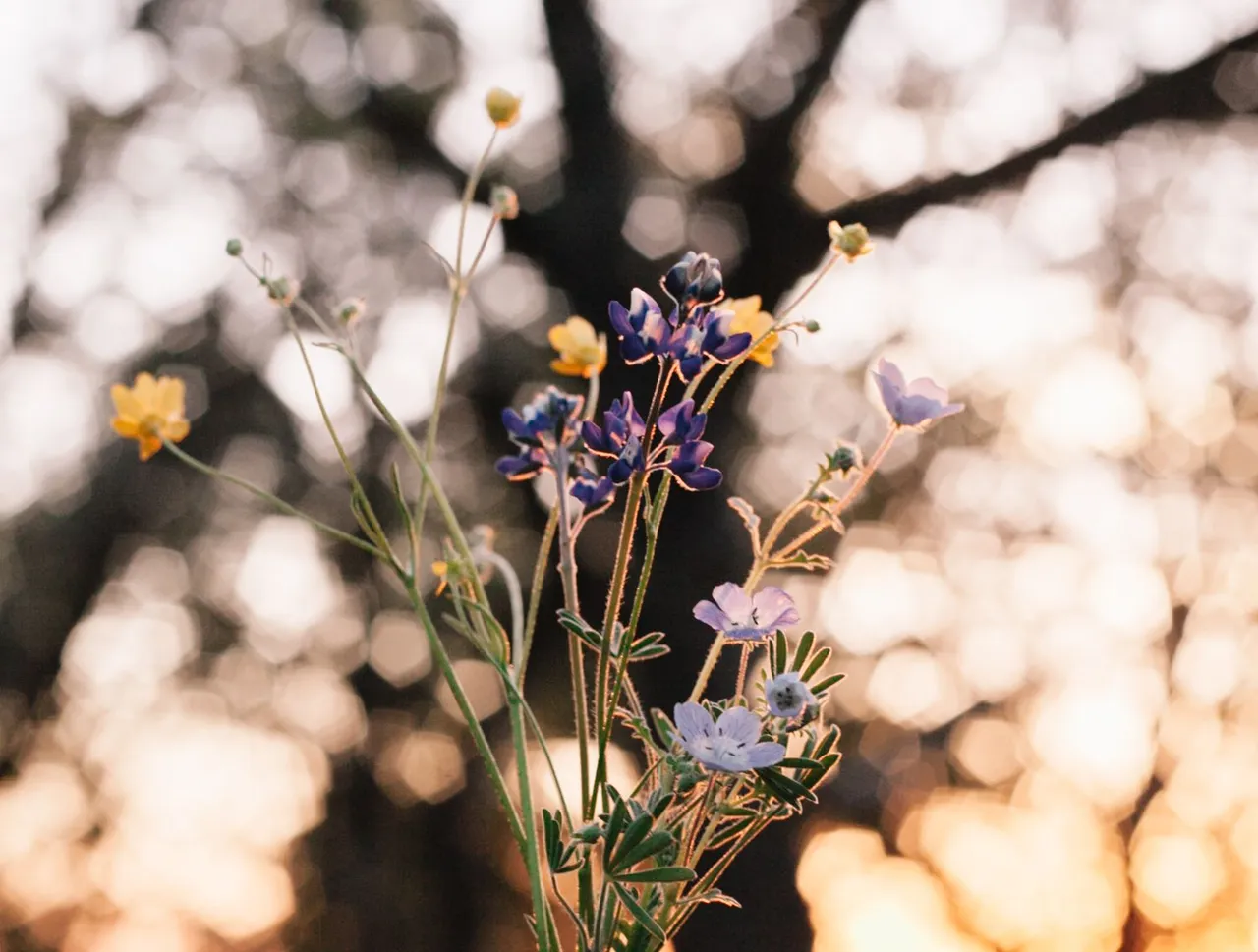 flower-arrangement-90.jpg