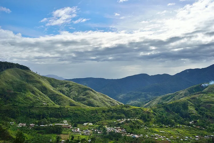 gayo-highlands-coffee.jpg