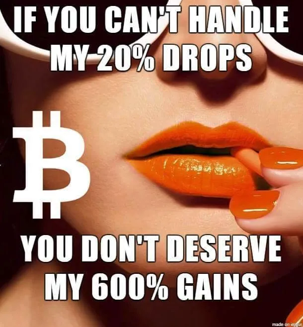 bitcoinmemedropsgains.png