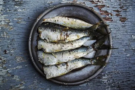 sardines-1489630__340.jpg