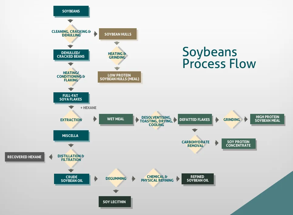 soy process chart.jpg