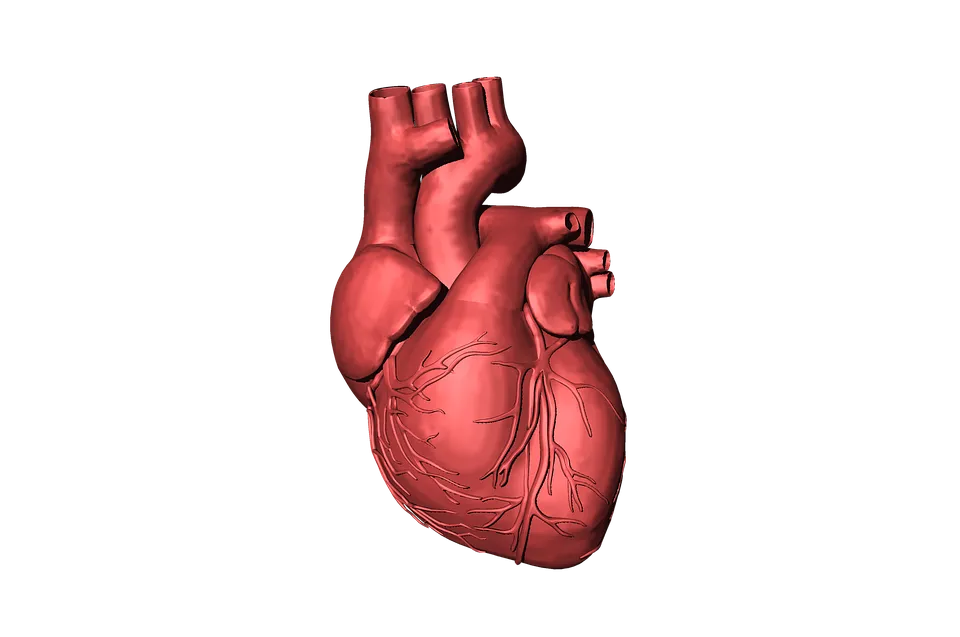 heart-1765298_960_720.png