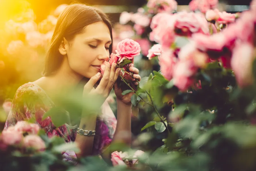 best-smelling-flowers.jpg