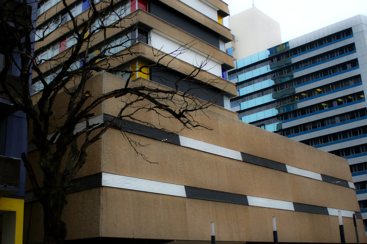 tree and building.jpg