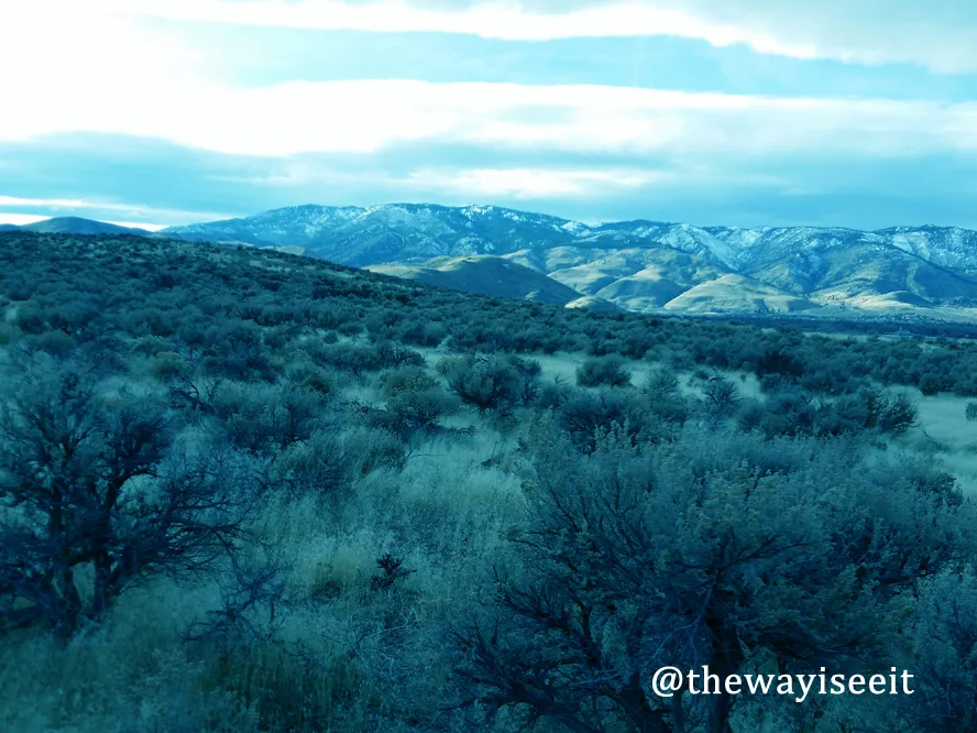 nevada-hiking-steemit.jpg