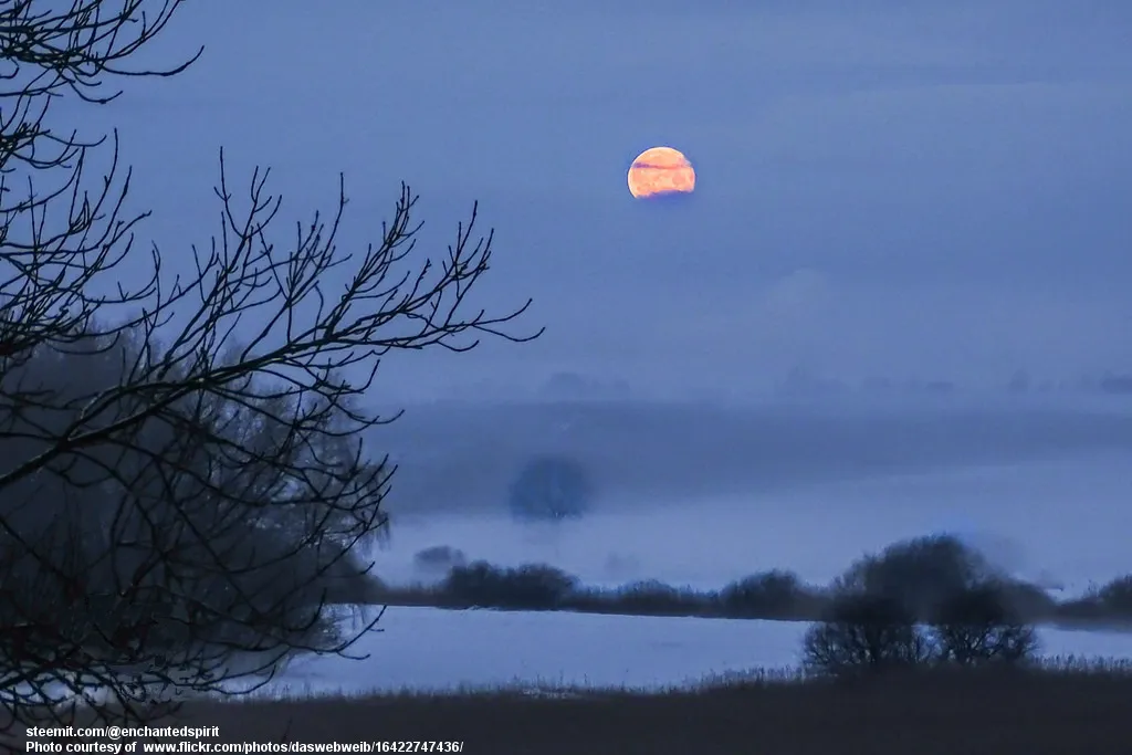 WinterMoon-001-121215.jpg