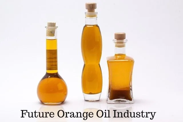 Orange Oil Market.jpg