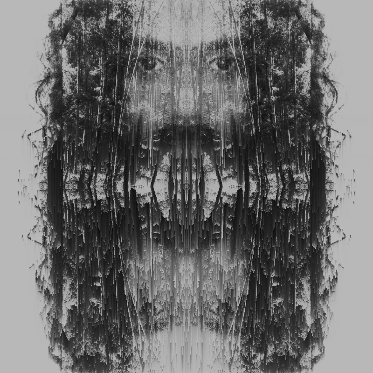 image3A110838_mirror4.jpg