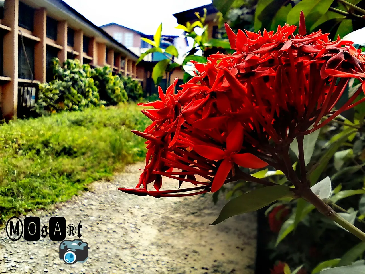 PicsArt_1515093188919.jpg