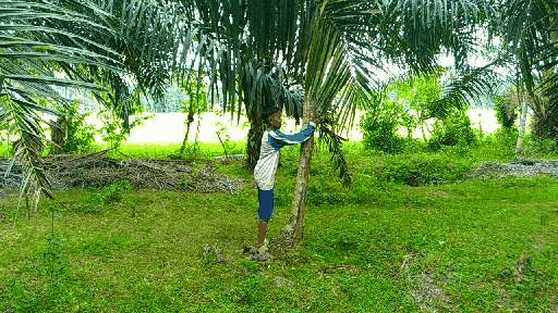 GifMeme21131421022018.gif