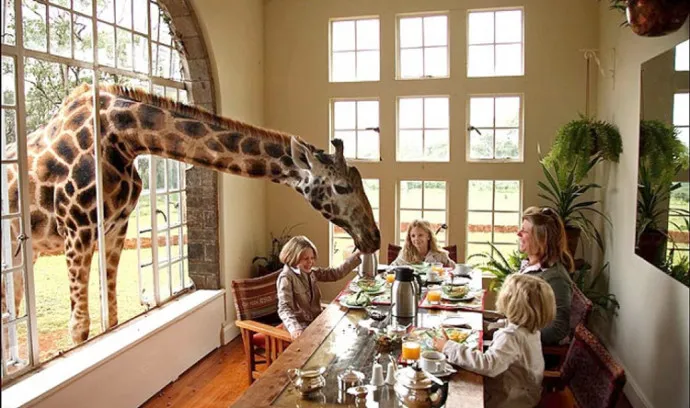 content_giraffe_manor.jpg