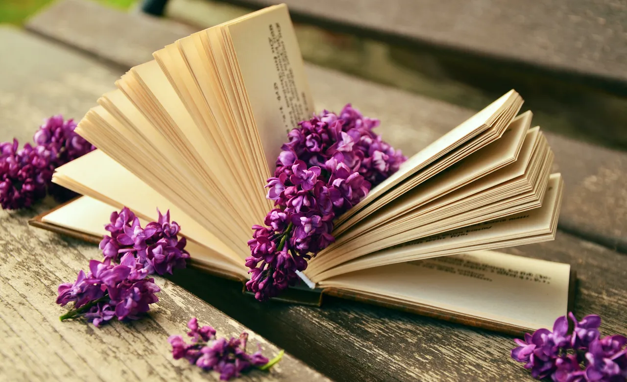 book-read-relax-lilac.jpg