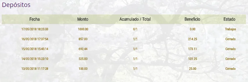 ASALEA DEPOSITO 2.png
