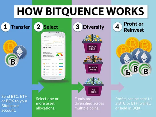 bitquence-infographic.jpg