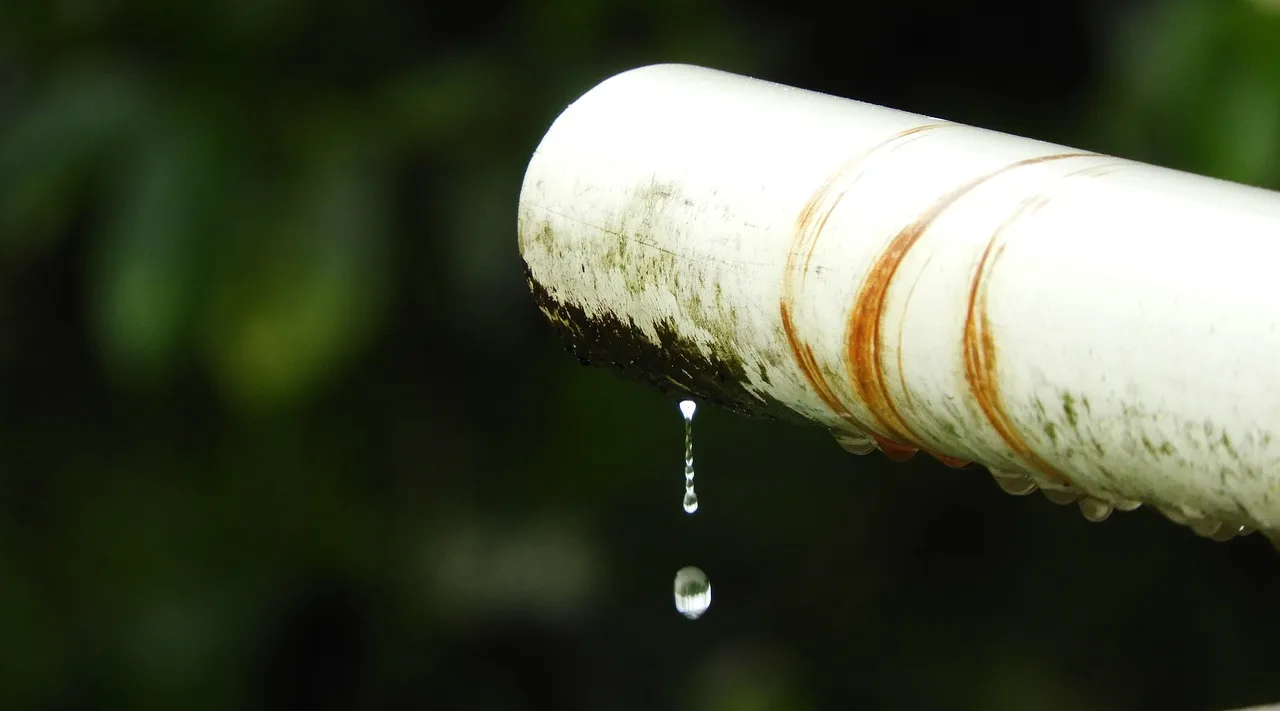 outdoors-3290142_1280.jpg