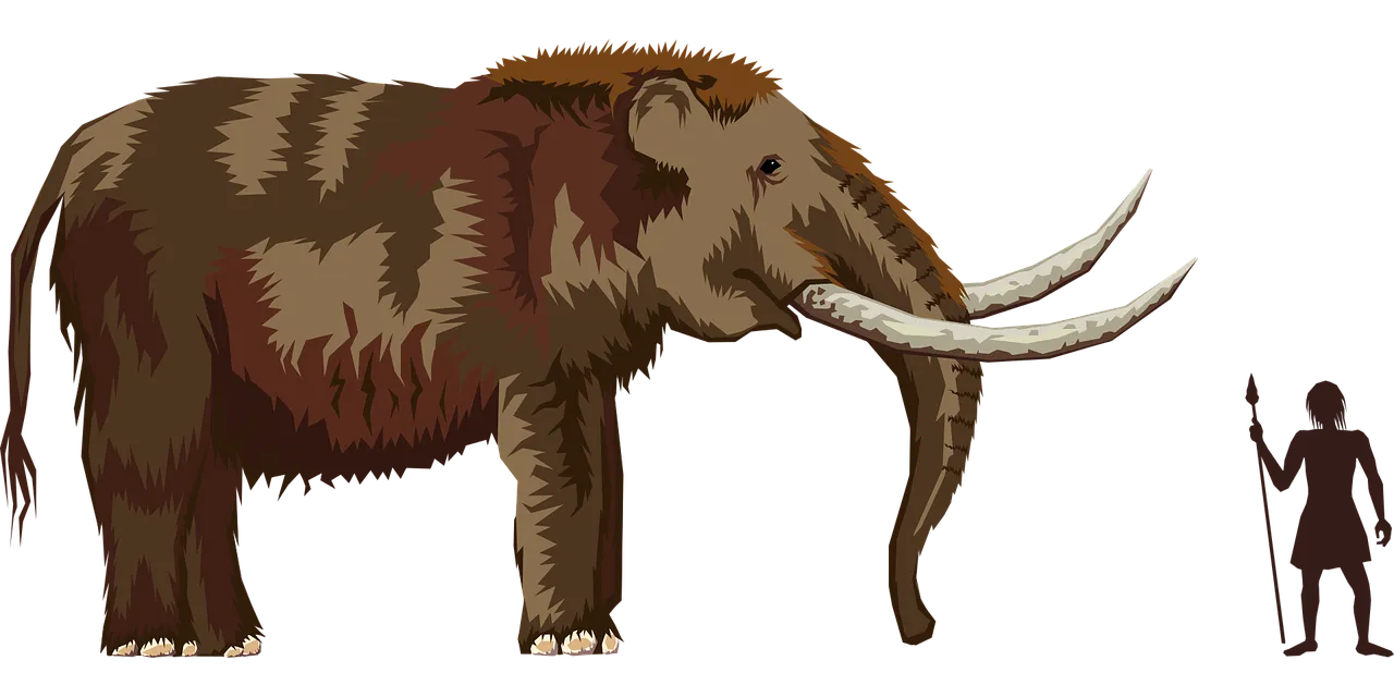 elephant-2026638_1280.png