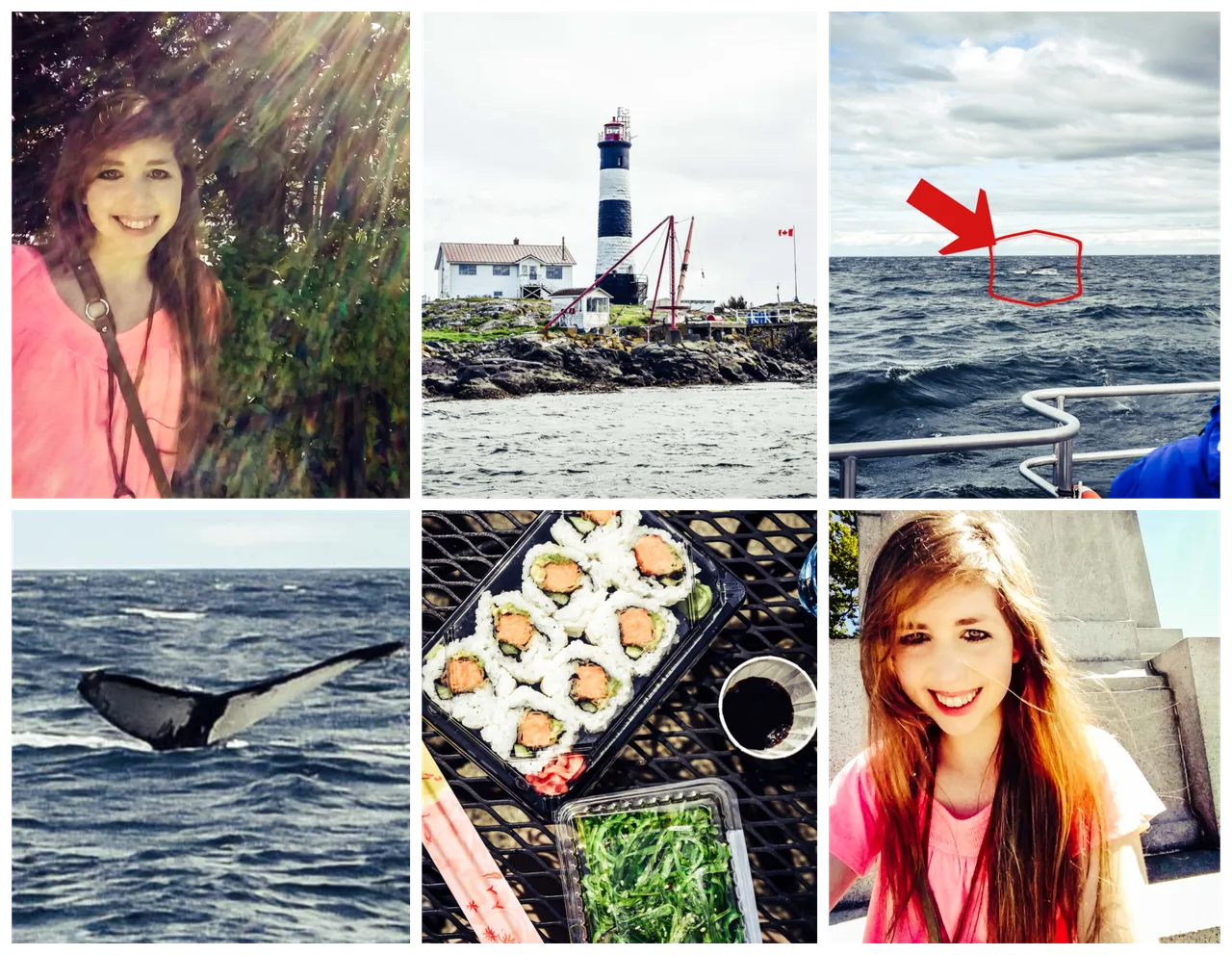 BeFunky-collage (3).png