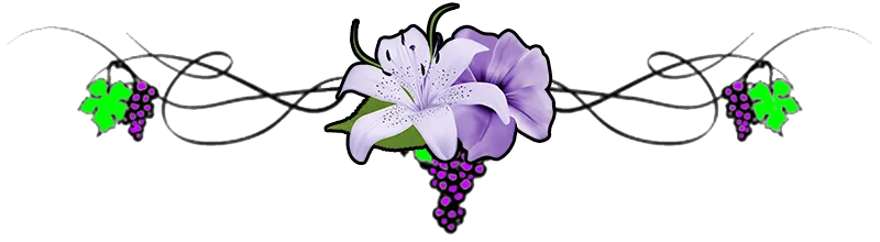 Separator-Grapes-Lily.png