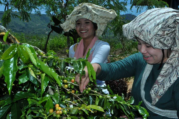 jaini_ngutip_KHA_0459.jpg